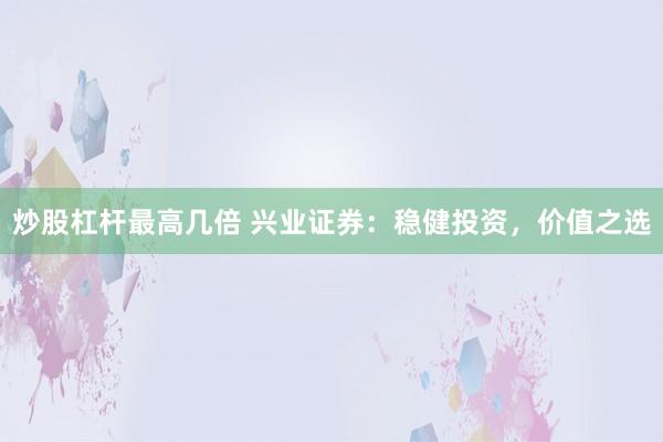 炒股杠杆最高几倍 兴业证券：稳健投资，价值之选